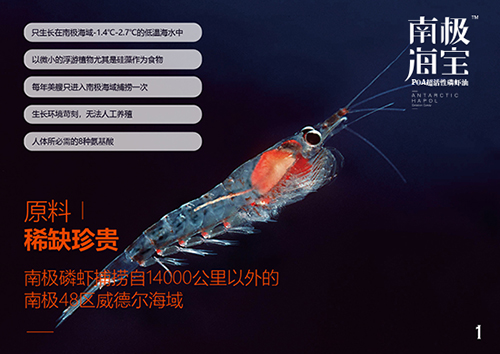 南極磷蝦高清圖