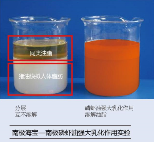 微信圖片_20200813104150.png
